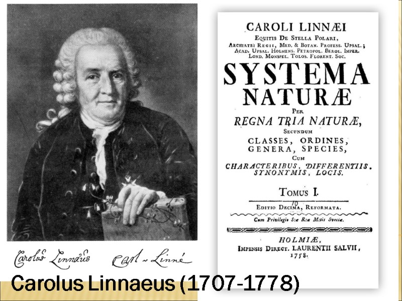 Carolus Linnaeus (1707-1778)